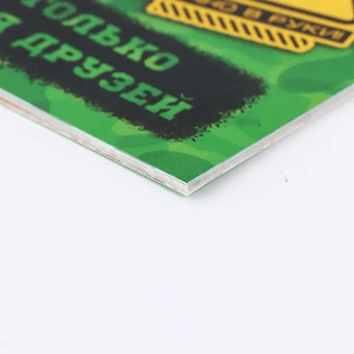 Анкета для друзей А5, 16 л. &laquo;Коты военные. 23 февраля&raquo;