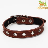 Ошейник кожаный на синтепоне, безразмерный, 45 х 2 см, ОШ 18-39 см, коричневый Ошейник кожаный на синтепоне, безразмерный, 45 х 2 см, ОШ 18-39 см, коричневый