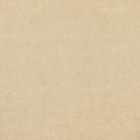 Пергамент флористический "Золото+белый", 0,6 х 10 м, 52 г/м2