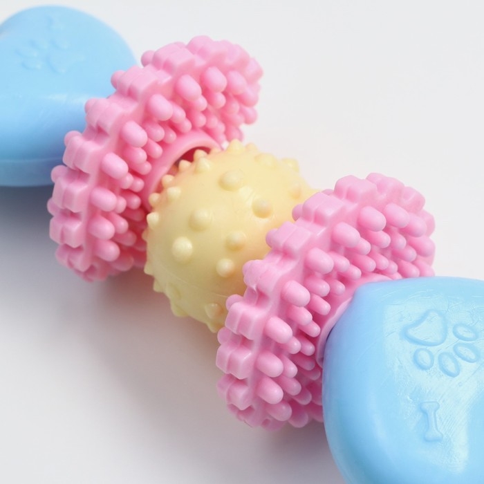 Игрушка жевательная Пижон Premium на верёвке, 5 элементов, термопластичная резина, микс Игрушка жевательная Пижон Premium на верёвке, 5 элементов, термопластичная резина, микс