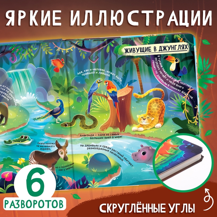 Книга с окошками &laquo;Мир животных&raquo;, 50 окошек