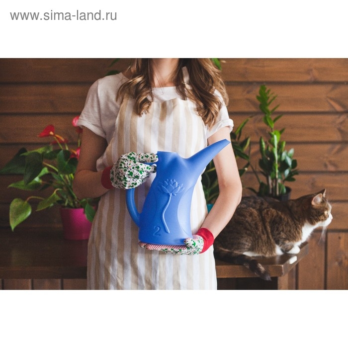 Лейка, 2 л, без рассеивателя, МИКС, &laquo;Лотос&raquo;