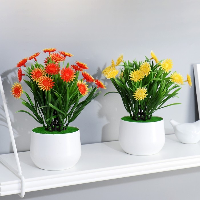 Бонсай в горшке Бонсай в горшке "Остроконечник" 9х28 см, микс