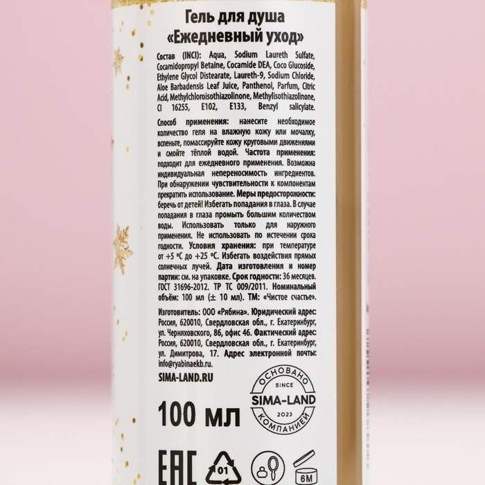 Подарочный набор косметики &laquo;Чудесного Нового Года&raquo;, гель для душа 100 мл и соль для ванны 100 г, аромат зимней ванили, ЧИСТОЕ СЧАСТЬЕ