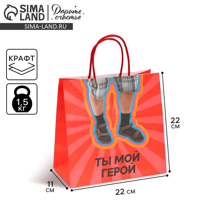 Пакет подарочный, упаковка, &laquo;Герой&raquo;, 22 х 22 х 11 см