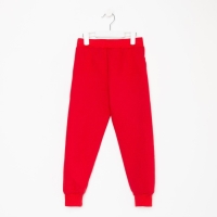 Брюки для девочки, цвет тёмно-красный, рост 164