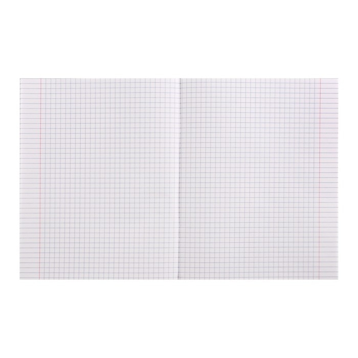 Комплект предметных тетрадей Calligrata TOP "Животные", 48 листов, 12 предметов, со справочным материалом, обложка мелованный картон, матовая ламинация, выборочный УФ-лак, блок офсет