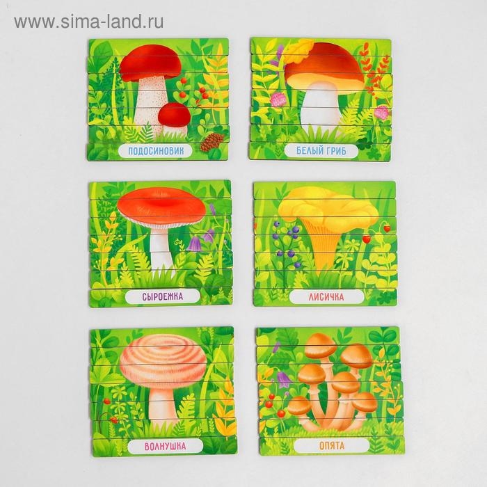 Пазл-палочки "Грибы"