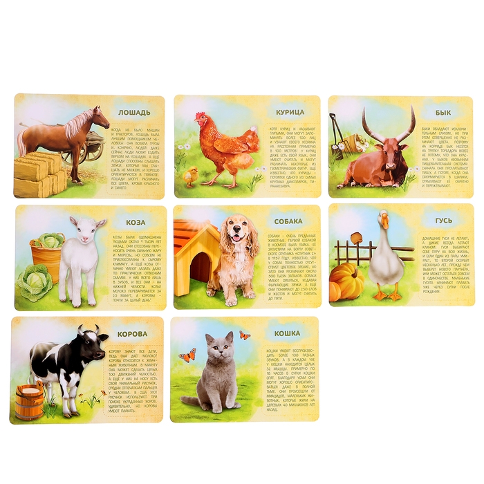 Набор животных с обучающими карточками &laquo;Фермерское хозяйство&raquo;, животные пластик, карточки, по методике Монтессори