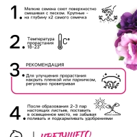 Семена цветов Петуния  Махровая Каскадная Блю&Орхид F1, смесь, О, 10шт