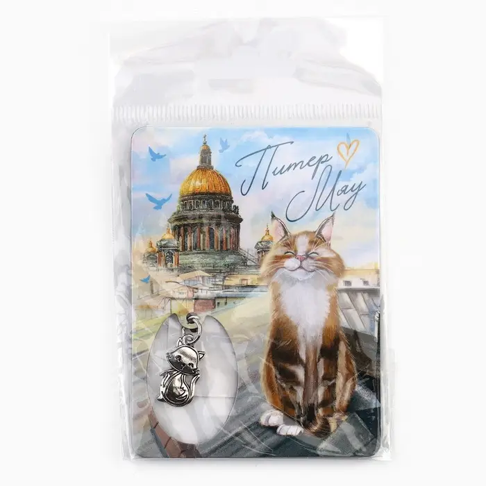 Магнит &laquo;Питер&raquo;, 6&times;8 см