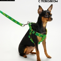 Комплект "Большая лапа", ширина 1,5 см, поводок 120 см, шлейка 28-42 см, жёлто-зелёный Комплект "Большая лапа", ширина 1,5 см, поводок 120 см, шлейка 28-42 см, жёлто-зелёный