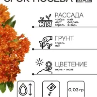 Семена Ваточник "Золотинка", ц/п,  0,03 г