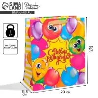 Пакет подарочный ламинированный, упаковка, &laquo;Весёлого дня рождения!&raquo;, ML 23 х 27 х 11.5 см