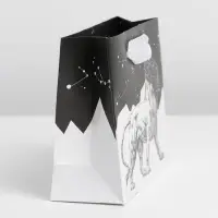 Пакет подарочный ламинированный, упаковка, &laquo;Номер 1&raquo;, S 12 х 15 х 5.5 см