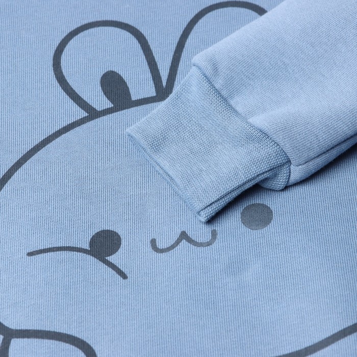 Костюм детский с начёсом (свитшот, брюки) KAFTAN Кролик, размер 30 (98-104 см), голубой