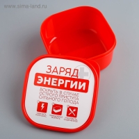 Ланч-бокс &laquo;Заряд энергии&raquo;, 700 мл