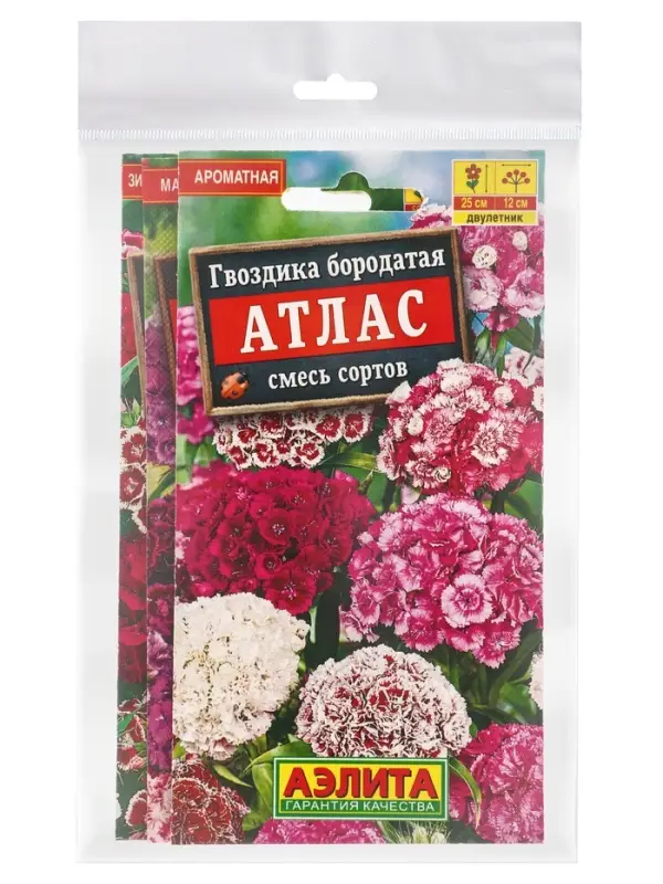 Набор Семена цветов Гвоздика турецкая многолетняя (238758319) ВБ