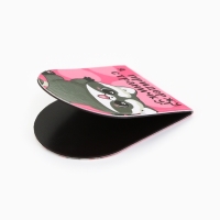 Закладки магнитные для книг, 8 шт "Еноты и котики"