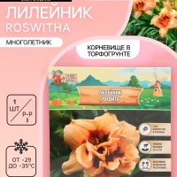 Лилейник Roswitha, многолетник, корневище в пакете с торфогрунтом, р-р I, 1 шт.