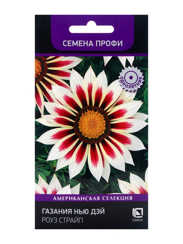 Семена цветов Газания Нью Дэй Роуз Страйп, 10шт Семена цветов Газания Нью Дэй Роуз Страйп, 10шт