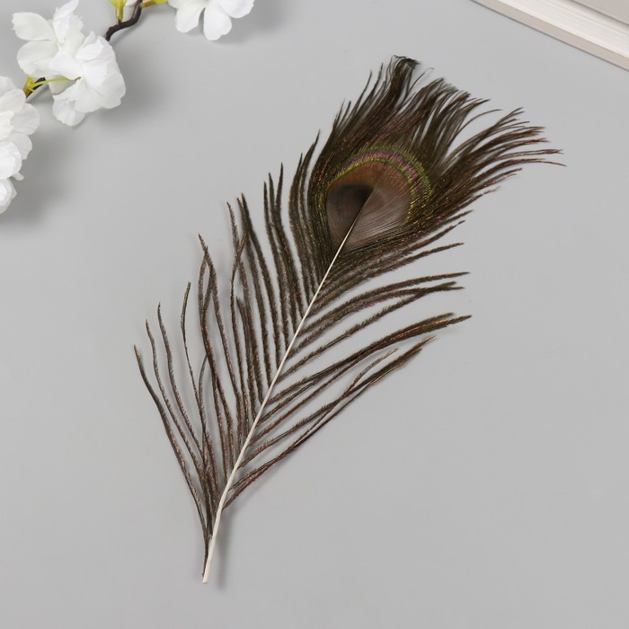 Перо декоративное "Павлин" h=25-30 см