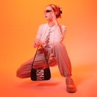 Сумка женская багет из текстиля, &laquo;Зебра&raquo;, 23х13х5 см.