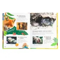 Большая энциклопедия малыша. 300 вопросов и ответов. 144 стр.