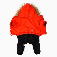 Одежда для собак. Комбинезон зимний &laquo;Тёплая зима&raquo;, красно-чёрный, размер XL