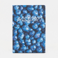 Обложка для паспорта, цвет синий