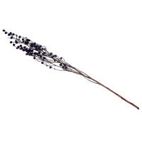 Сухие цветы &laquo;Молочай Миля&raquo;, 25 г, длина &mdash; 70 см, цвет фиолетовый