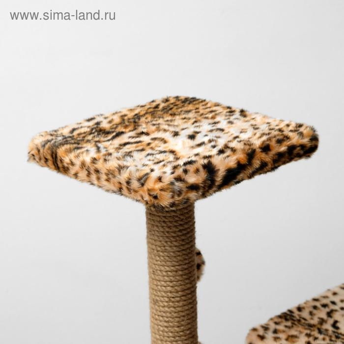 Домик для кошек с когтеточкой, квадратный, 3х-этажный, 45 &times; 47 &times; 75 см, леопард