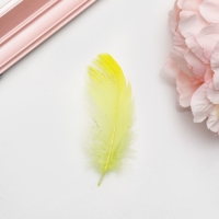 Наполнитель из перьев для шаров и подарков, лайм с глиттером, 10-12см 8 г Наполнитель из перьев для шаров и подарков, лайм с глиттером, 10-12см 8 г