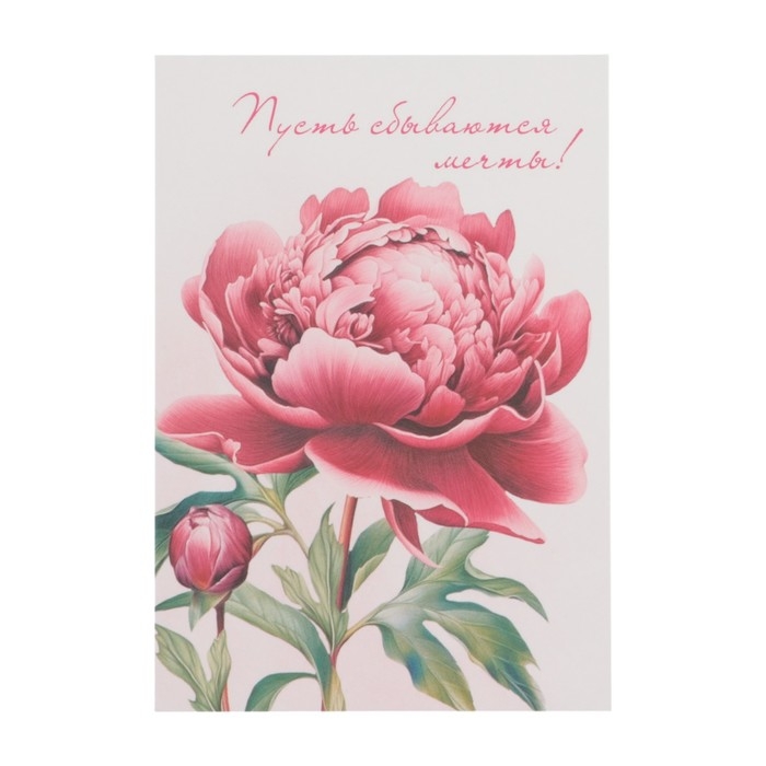 Набор мини-открыток "Цветы" 7,6 х 10,6 см