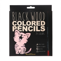 Карандаши 24 цвета BlackWoodColor, пластиковые, трёхгранные, МИКС