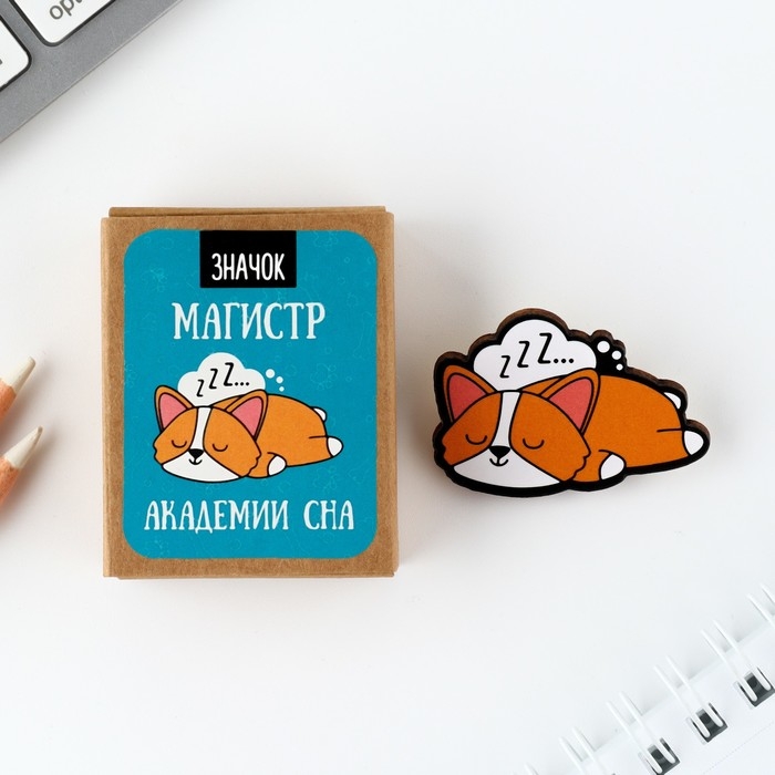 Значок в коробочке &laquo;Магистр сна&raquo; 5 х 4 см