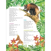 Энциклопедия «Удивительные животные» Энциклопедия «Удивительные животные»
