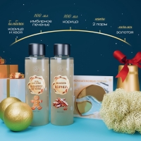Новогодний подарочный набор косметики &laquo;Зимнее путешествие&raquo; для душа и ванны, золотая серия