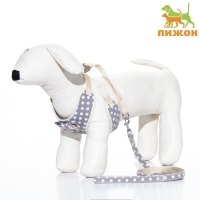 Комплект с мягкой шлейкой "Горох", размер L, поводок 120 х 1,5 см, ОГ 42-76 см, серый Комплект с мягкой шлейкой "Горох", размер L, поводок 120 х 1,5 см, ОГ 42-76 см, серый