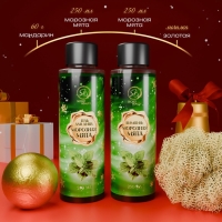 Новогодний подарочный набор косметики &laquo;Зимняя вьюга&raquo;, с ароматом мяты и корицы. Зеленая серия