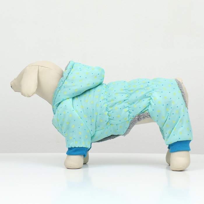 Комбинезон Комбинезон "нежный путь" на меховом подкладе, размер L (ДС 35, ОШ 35, ОГ 45 см), голубой