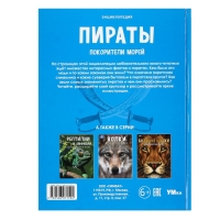 Энциклопедия &laquo;Пираты. Покорители морей&raquo;