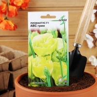 Семена цветов Лизиантус F1( Эустома) АВС грин, 5 шт, Семена цветов Лизиантус F1( Эустома) АВС грин, 5 шт,