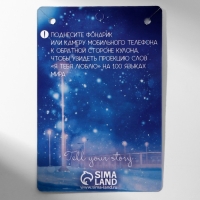 Кулоны &laquo;Неразлучники&raquo; на магните, проектор, сердце, цвет серый в серебре, 45 см