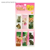 Набор закладок магнитных 6 штук "Котята", ассорти