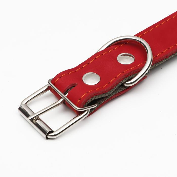 Ошейник комбинированный кожа/брезент, безразмерный, 70 х 3,5 см, ОШ 25-60 см, красный Ошейник комбинированный кожа/брезент, безразмерный, 70 х 3,5 см, ОШ 25-60 см, красный