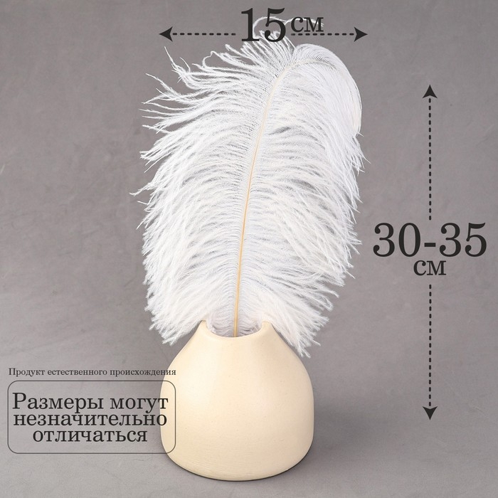 Перо для декора, размер: 30-35 см, цвет белый Перо для декора, размер: 30-35 см, цвет белый
