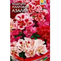 Семена цветов Годеция Азалия, махровая 200 шт
