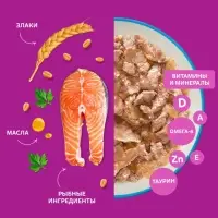 Влажный корм Whiskas Meaty для кошек, лосось, 75 г