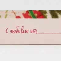 Коробка для макарун &laquo;Прекрасных мгновений!&raquo;, 18 х 12 х 3.5 см